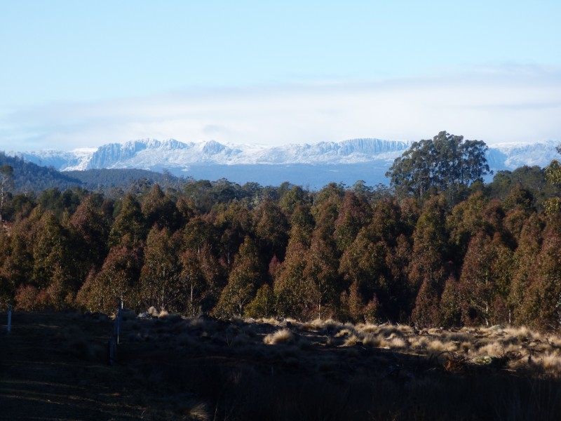 213 East Diddleum Road, Tayene TAS 7259