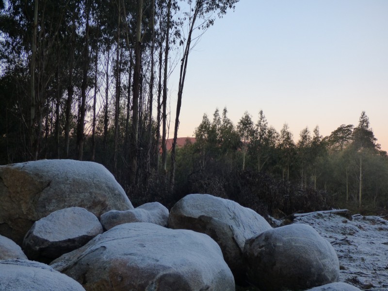 213 East Diddleum Road, Tayene TAS 7259