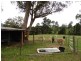 486 East Maurice Road, Ringarooma TAS 7263