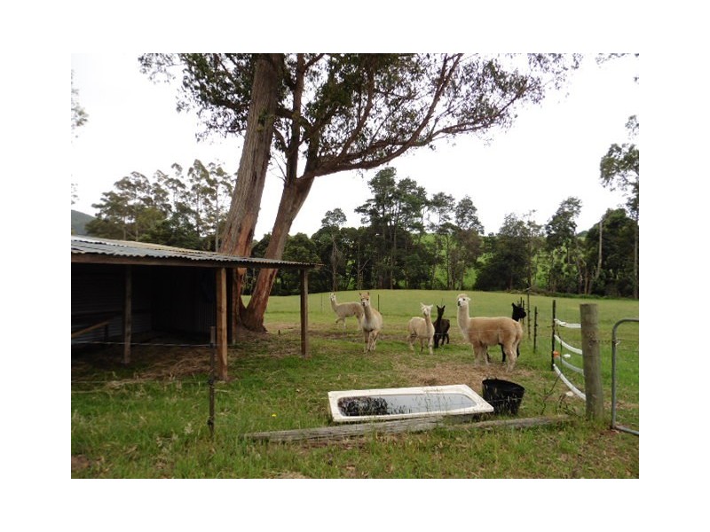 486 East Maurice Road, Ringarooma TAS 7263