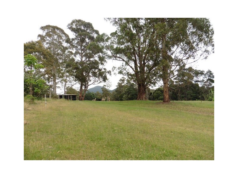486 East Maurice Road, Ringarooma TAS 7263