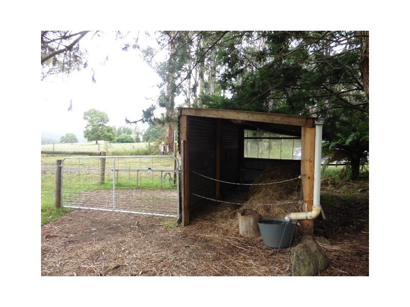 486 East Maurice Road, Ringarooma TAS 7263