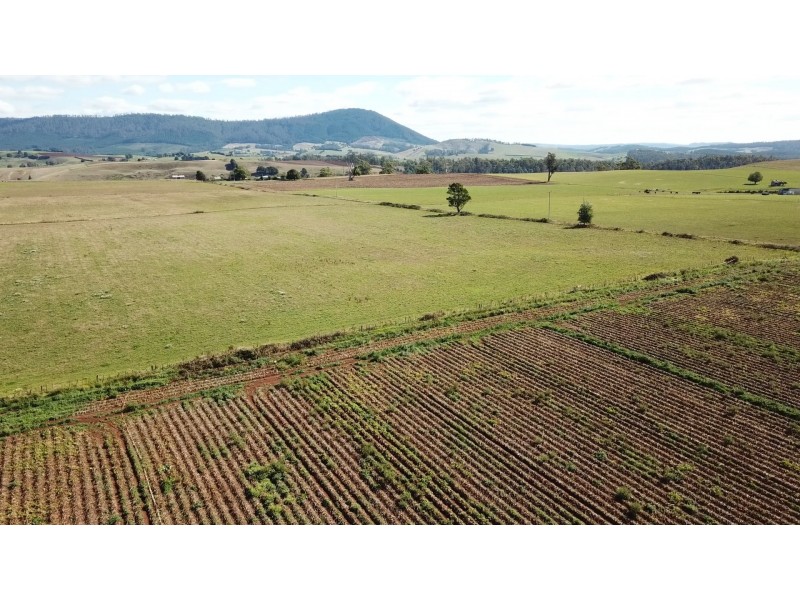 61 West Minstone Road, Scottsdale TAS 7260