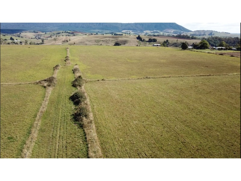 61 West Minstone Road, Scottsdale TAS 7260