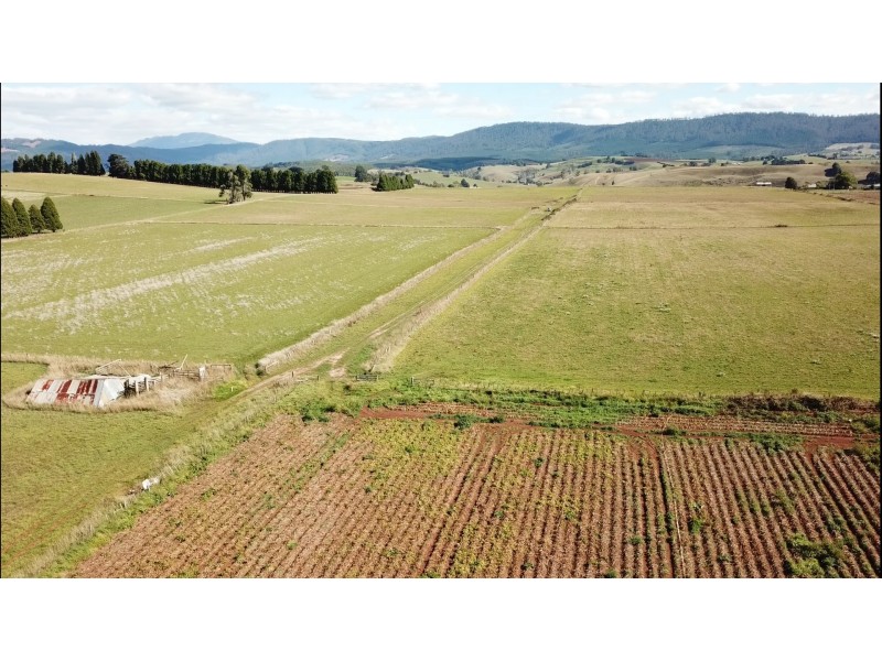 61 West Minstone Road, Scottsdale TAS 7260