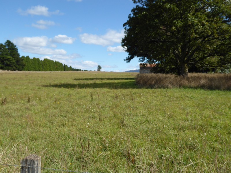 61 West Minstone Road, Scottsdale TAS 7260