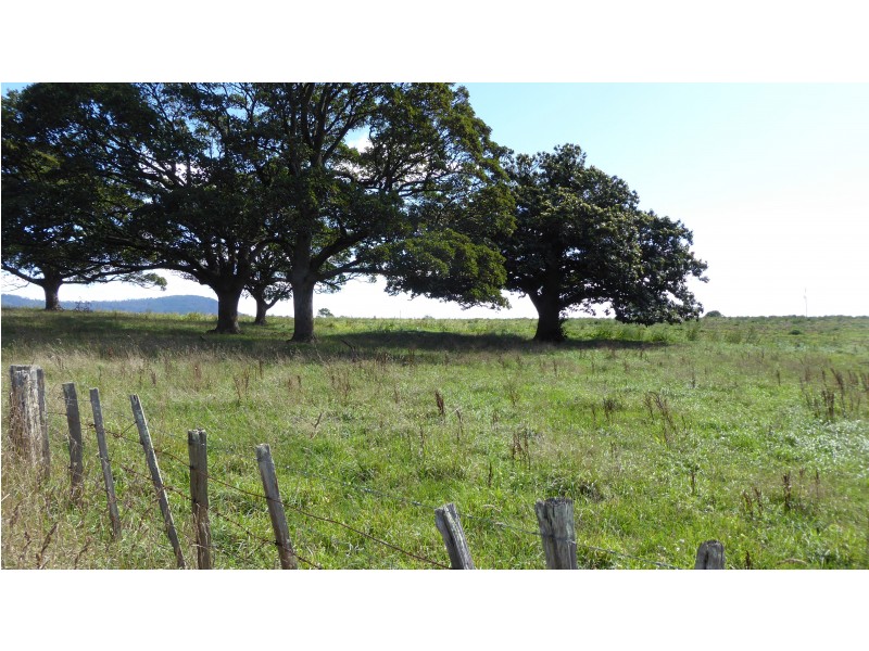 61 West Minstone Road, Scottsdale TAS 7260