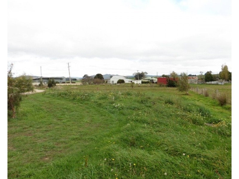 17 Winnaleah Road, Winnaleah TAS 7265