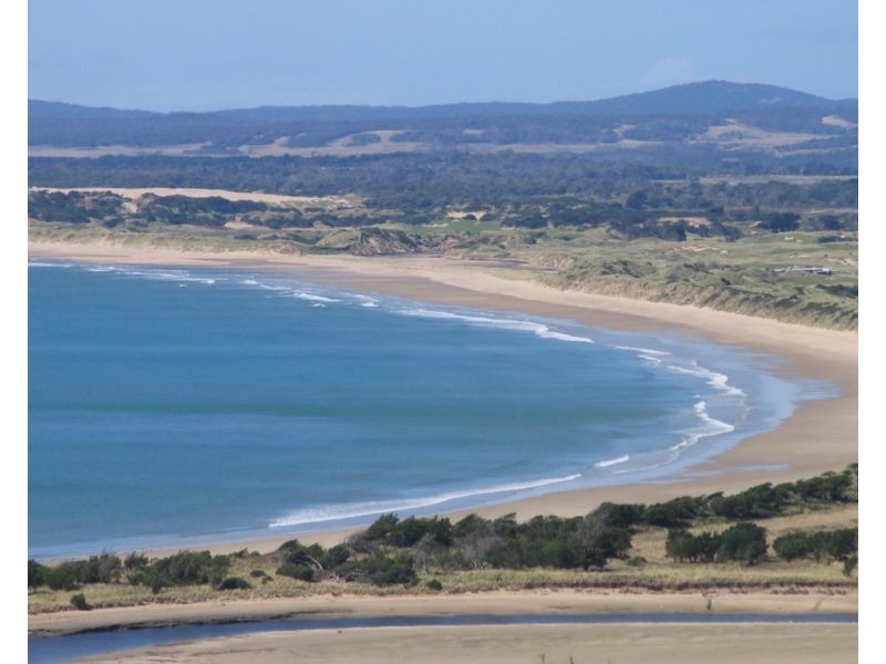 39 Frances Street, Bridport TAS 7262