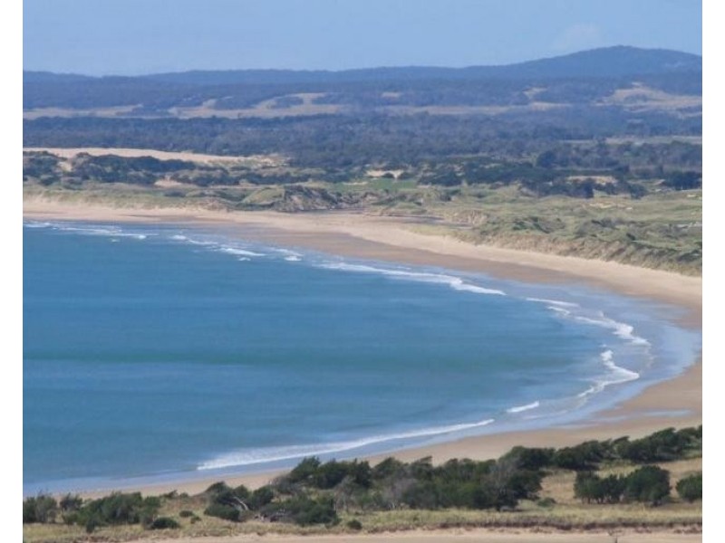 39 Frances Street, Bridport TAS 7262