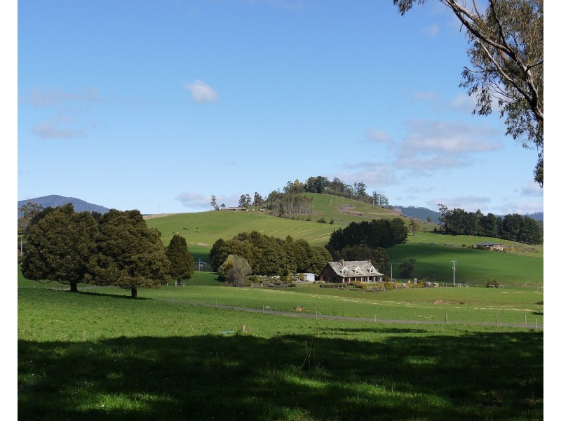 310 East Minstone Road, Scottsdale TAS 7260