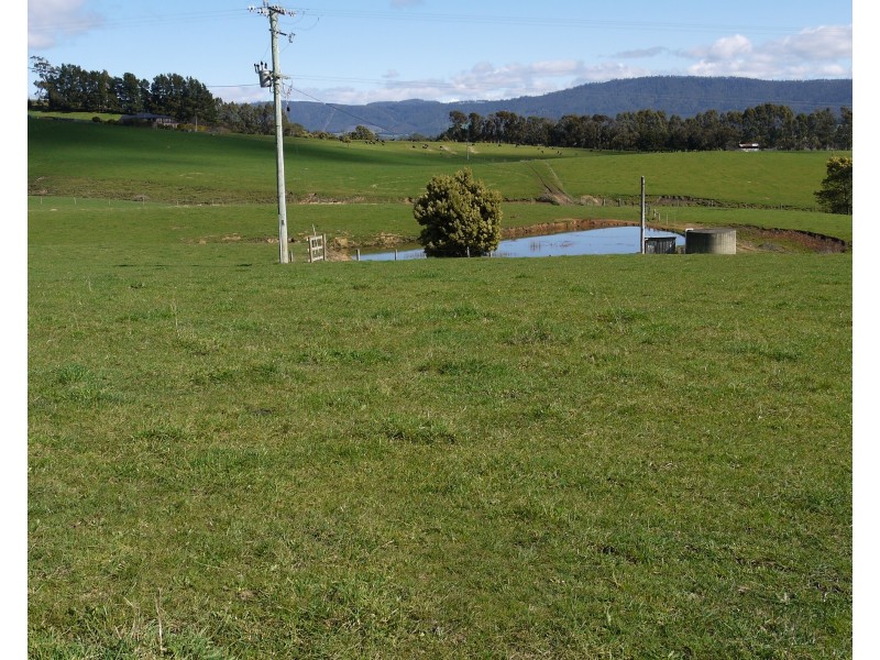 310 East Minstone Road, Scottsdale TAS 7260