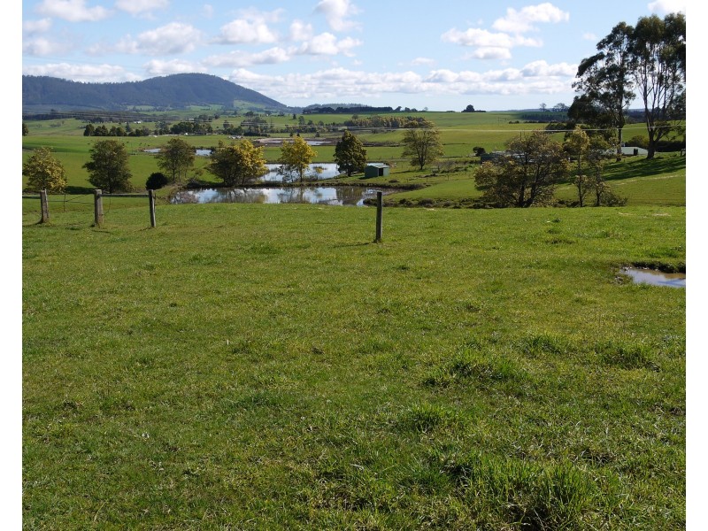 310 East Minstone Road, Scottsdale TAS 7260