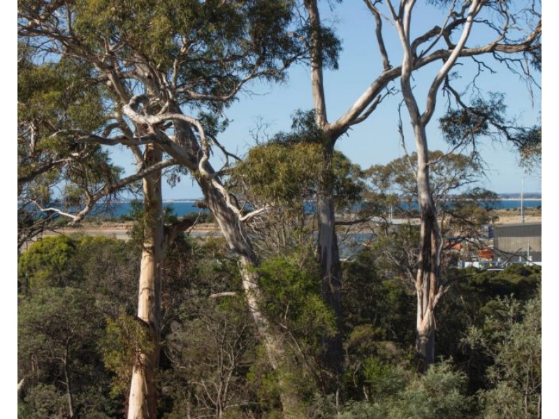 2/4 Bridview Place, Bridport TAS 7262