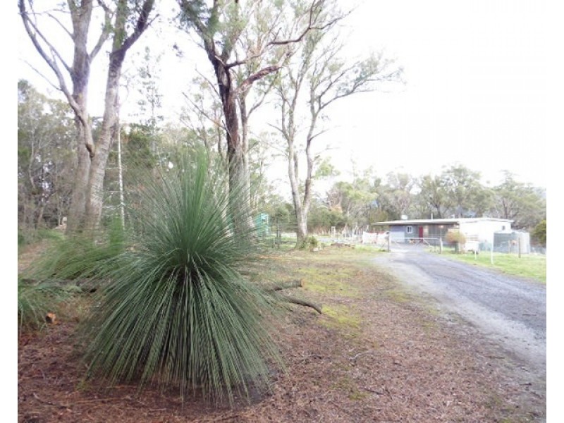 2565 Gladstone Road, Gladstone TAS 7264