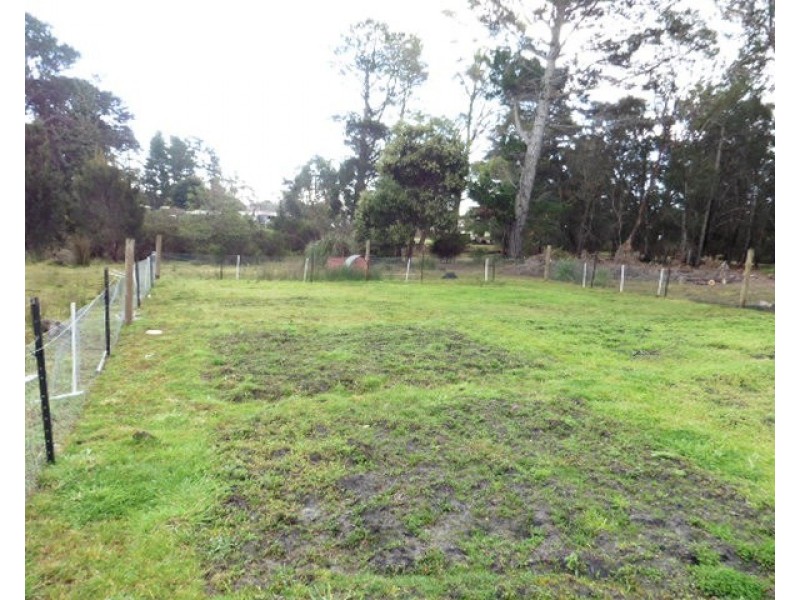 2565 Gladstone Road, Gladstone TAS 7264
