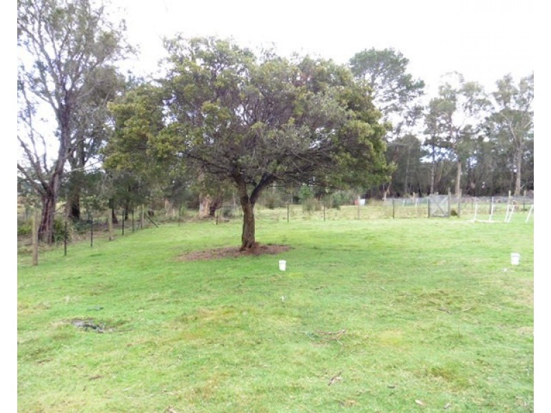 2565 Gladstone Road, Gladstone TAS 7264