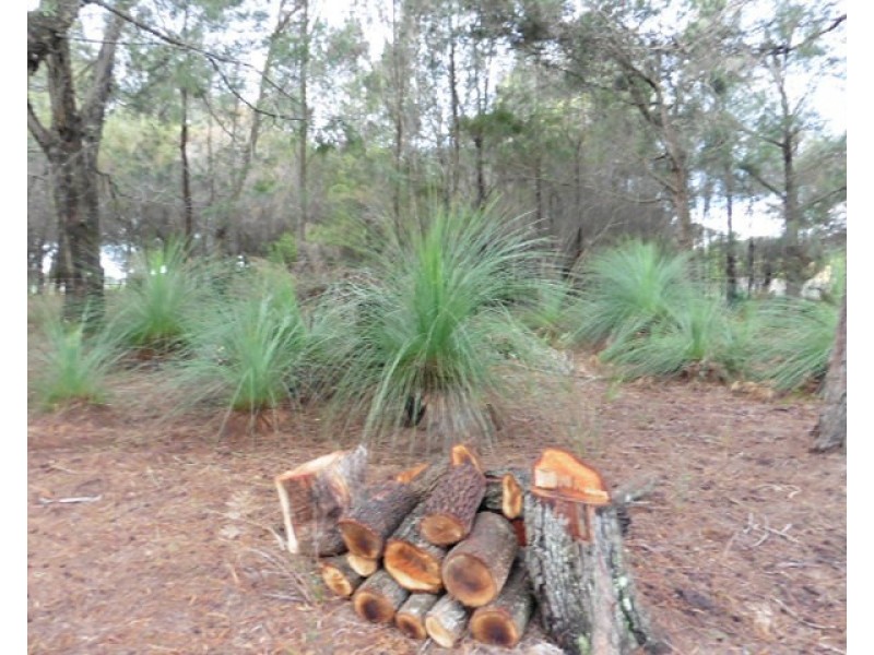 2565 Gladstone Road, Gladstone TAS 7264