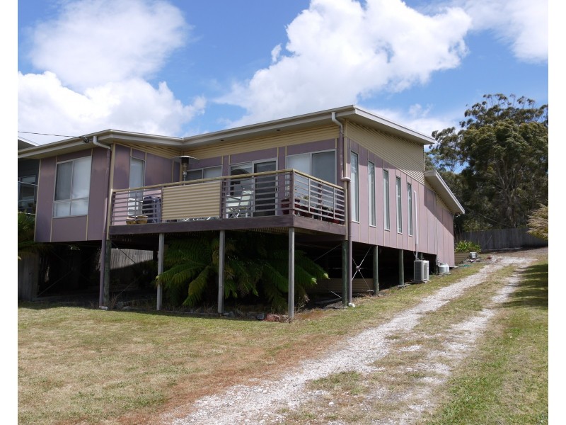 19 Walter Street, Bridport TAS 7262