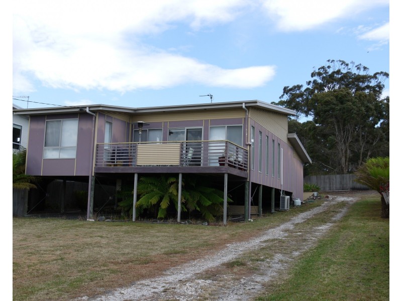 19 Walter Street, Bridport TAS 7262
