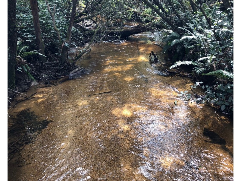 Cuckoo Road, Cuckoo TAS 7260