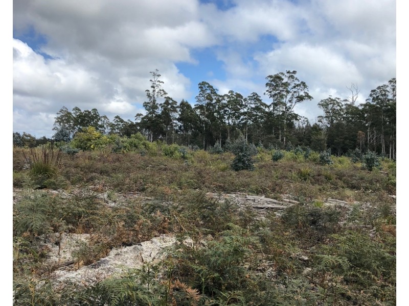 Cuckoo Road, Cuckoo TAS 7260