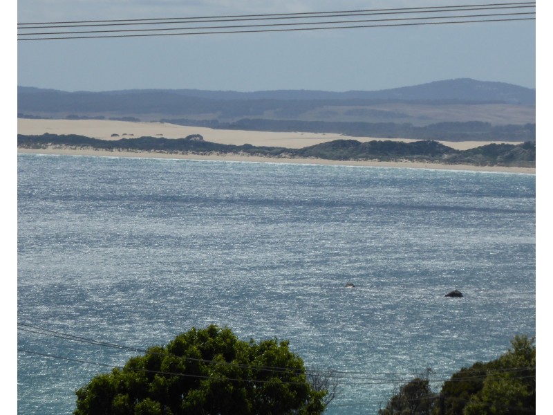 161 Main Street, Bridport TAS 7262