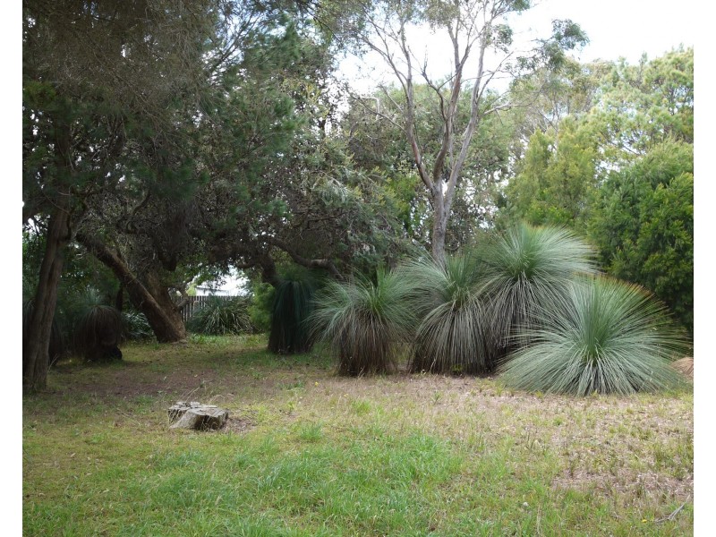 11 Richard Street, Bridport TAS 7262