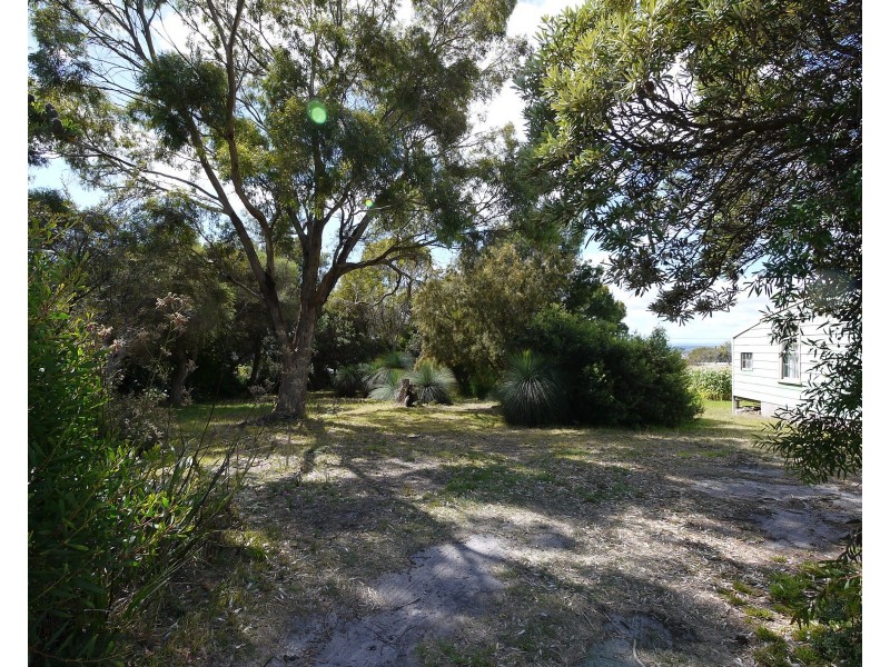 11 Richard Street, Bridport TAS 7262