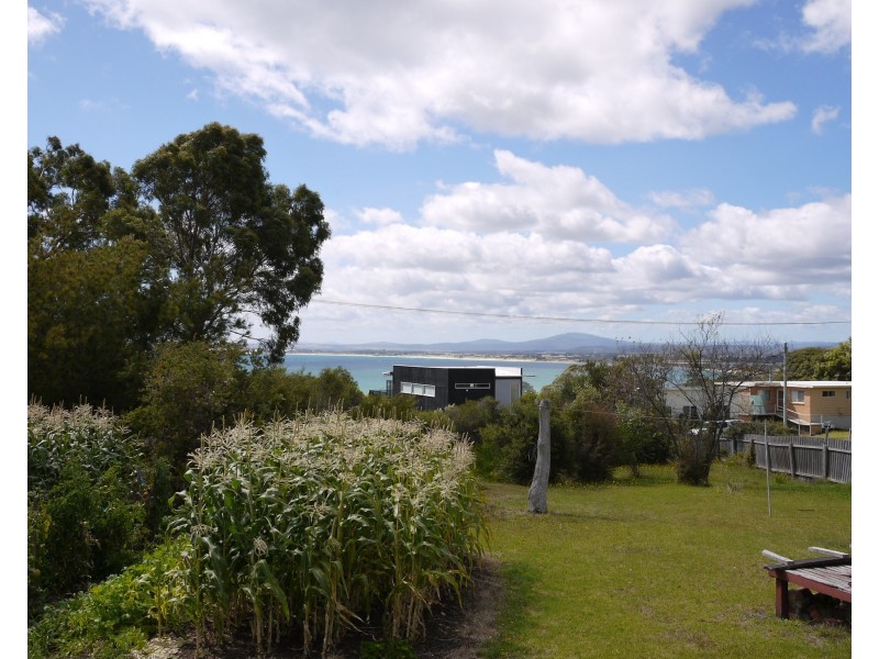 11 Richard Street, Bridport TAS 7262