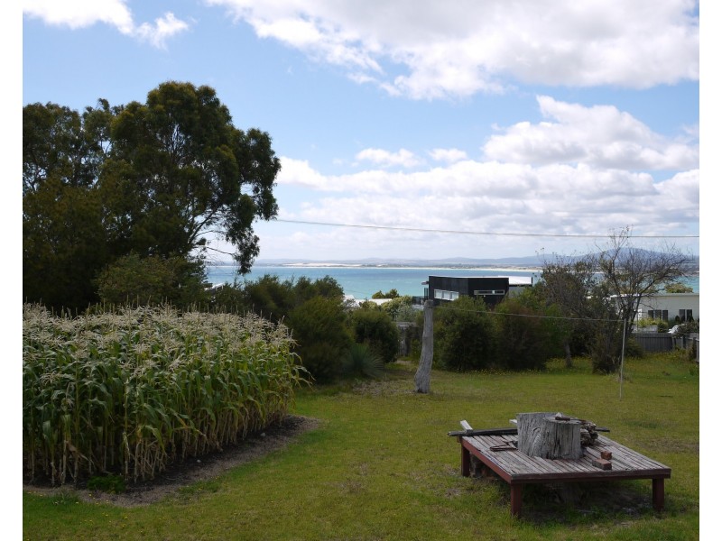 11 Richard Street, Bridport TAS 7262