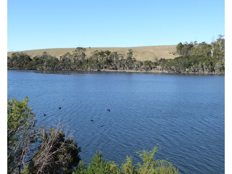 8 Blackwood Court, Ansons Bay TAS 7216