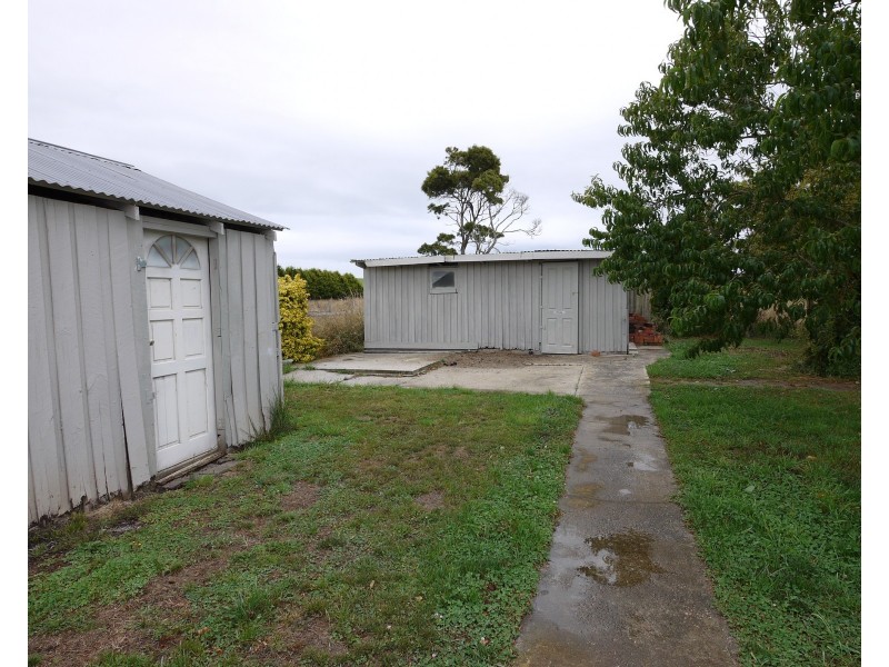 7 Winnaleah Road, Winnaleah TAS 7265