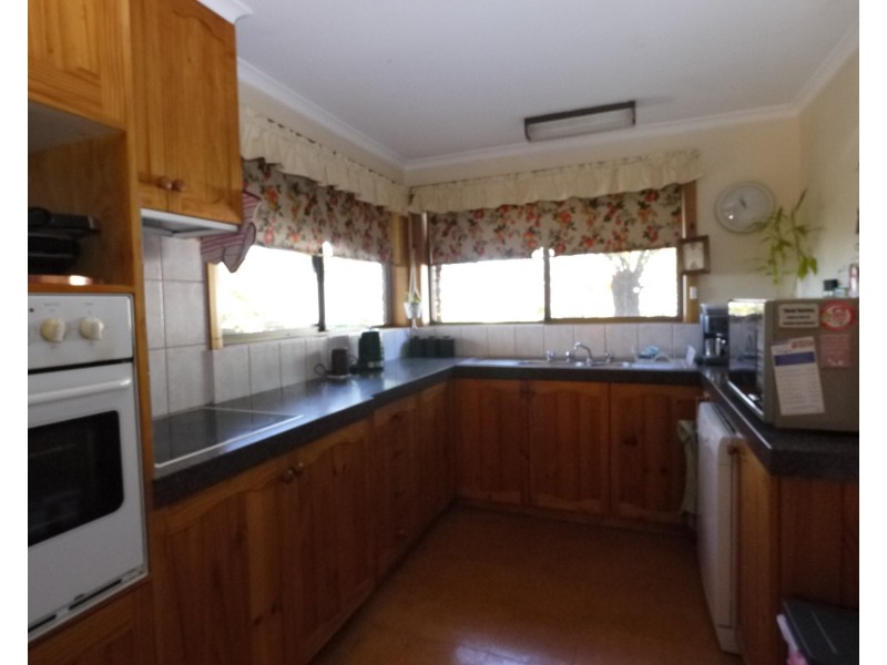 39 Walter Street, Bridport TAS 7262