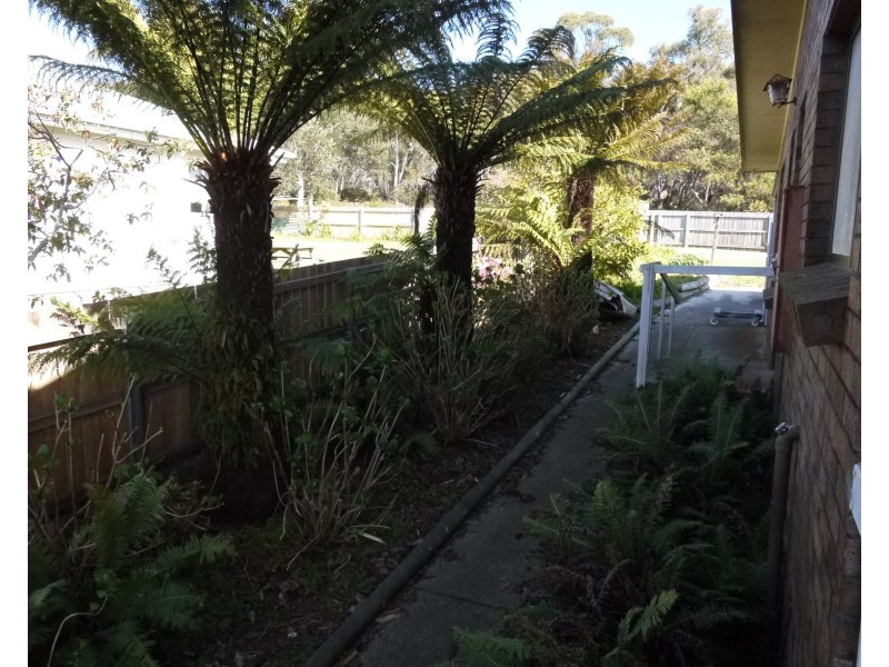 39 Walter Street, Bridport TAS 7262