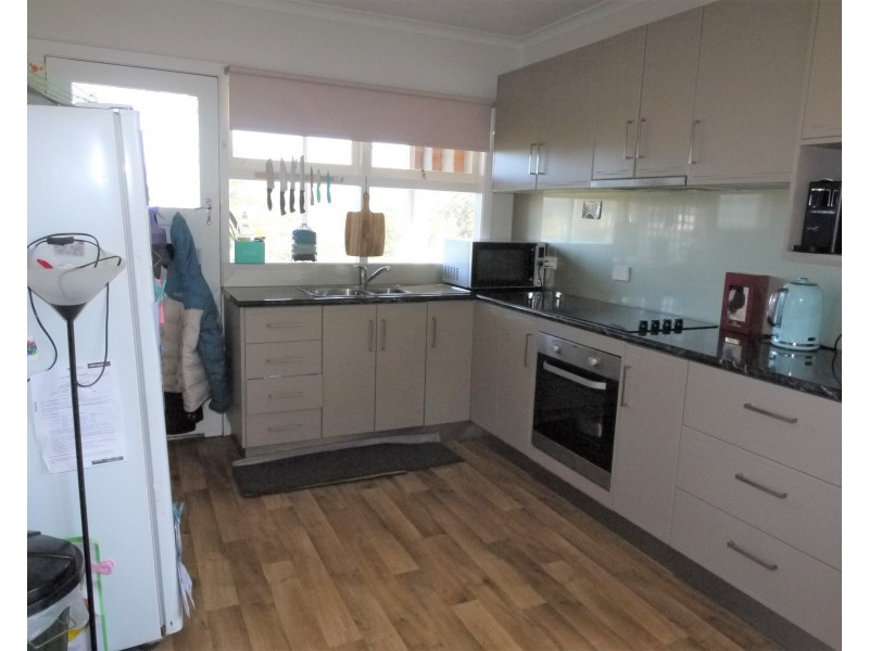 16 Ada Street, Scottsdale TAS 7260