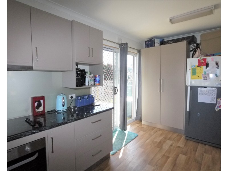 16 Ada Street, Scottsdale TAS 7260