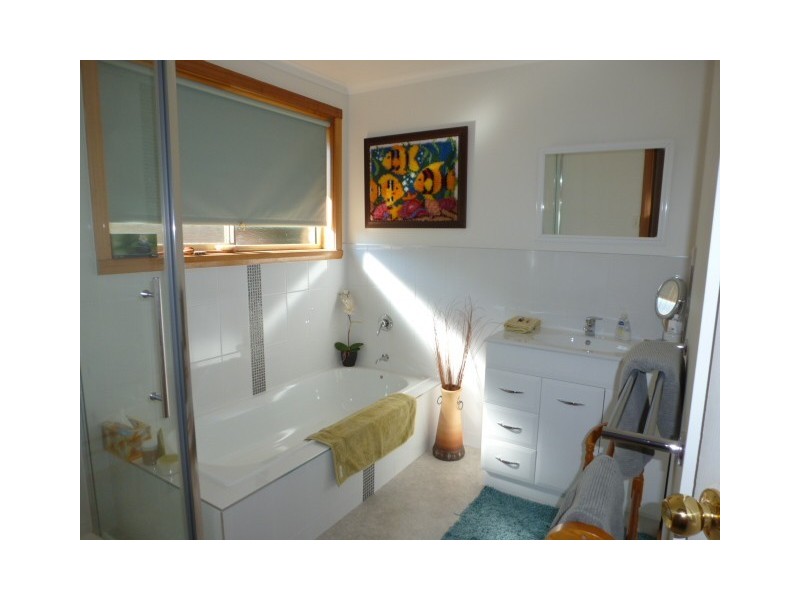 2/3 Scott Street, Scottsdale TAS 7260