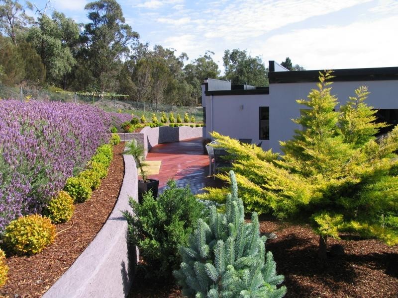 7 Andrews PLACE, Bridport TAS 7262