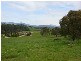 . Hedley STREET, Scottsdale TAS 7260