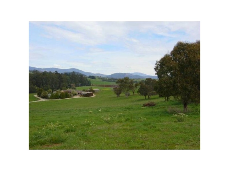 . Hedley STREET, Scottsdale TAS 7260