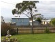 101 Westwood Street, Bridport TAS 7262