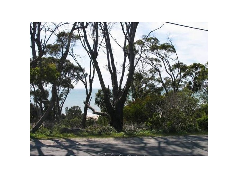 1 Bentley Street, Bridport TAS 7262