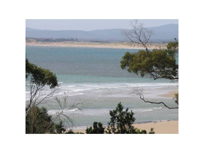 1 Bentley Street, Bridport TAS 7262