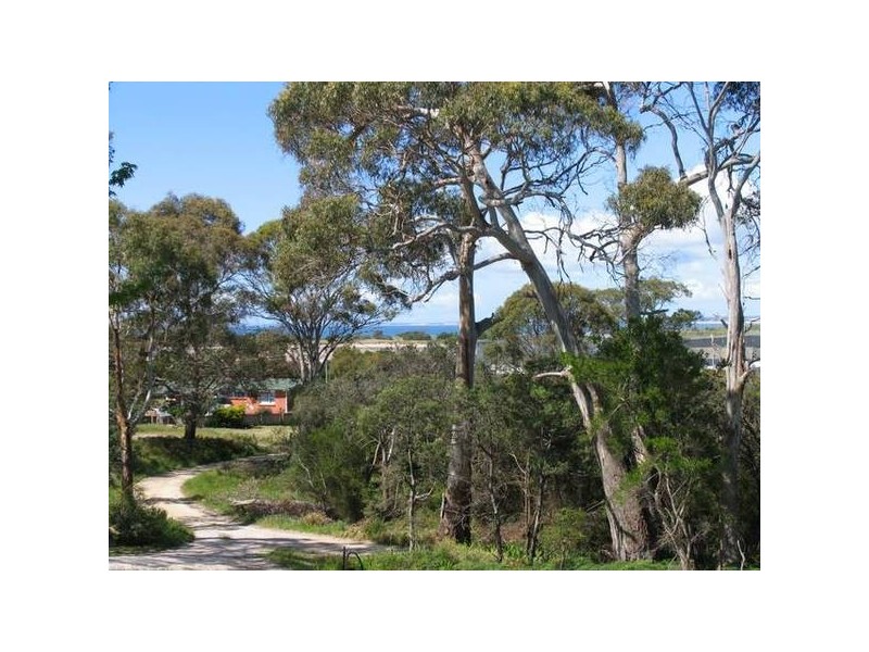 4 Bridview Place, Bridport TAS 7262