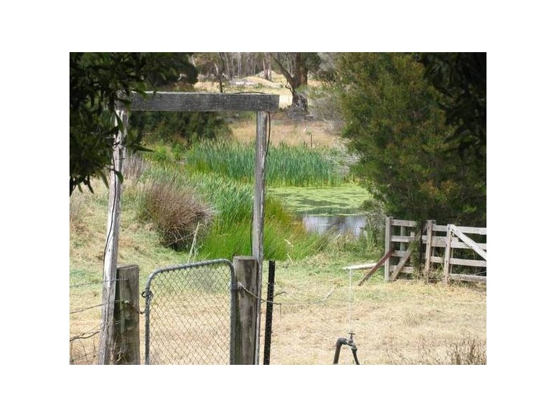 20 Edward Street, Bridport TAS 7262