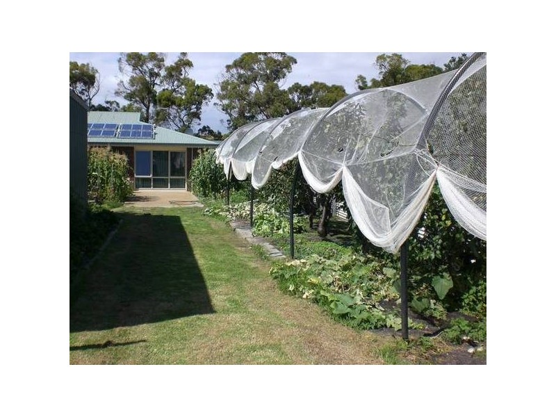 8 Blackwood Court, Ansons Bay TAS 7216