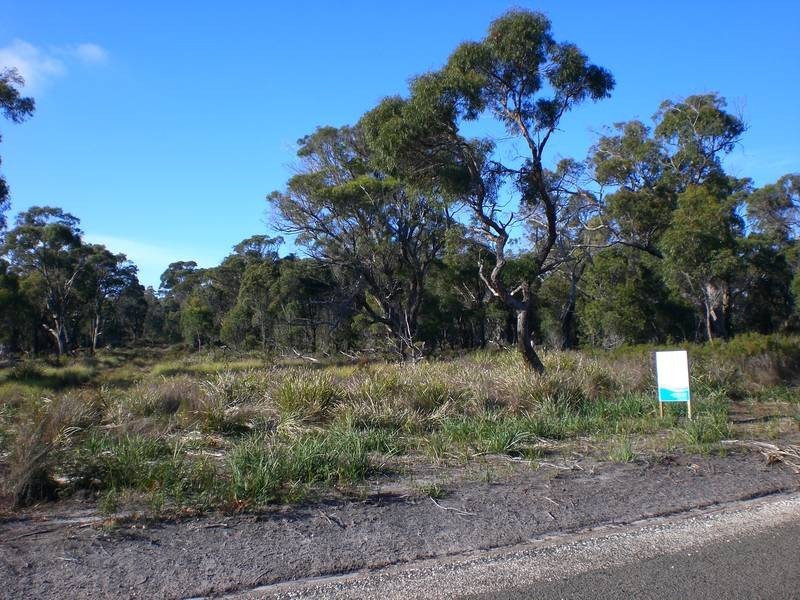 . Port Hills Road, Bridport TAS 7262