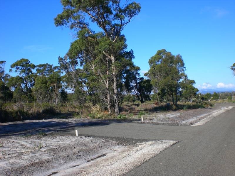 . Port Hills Road, Bridport TAS 7262