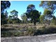 . Port Hills Road, Bridport TAS 7262